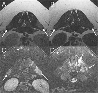 Magnetic Resonance Imaging Findings in 13 Neurologic Pot-Bellied Pigs